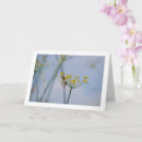 Search for pollination cards Insects