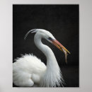 Search for heron art Tropical