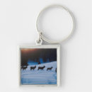 Search for herding key rings Animal