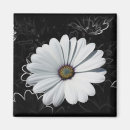 Search for painted daisy magnets White