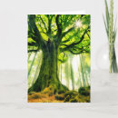 Search for beech cards Nature