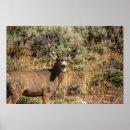 Search for wildlife photography posters Landscape