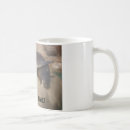 Search for seals mugs Nature