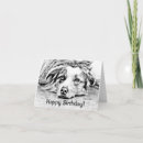 Search for herding dog cards Cute