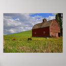 Search for palouse posters Horse