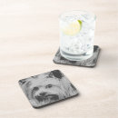 Search for breeds coasters Yorkshire