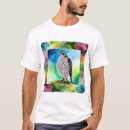 Search for goshawk Wildlife