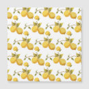 Search for fruit designs cards Food