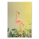 Search for flamingo posters Sun