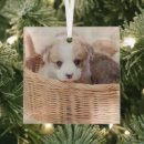 Search for tiny christmas tree decorations Puppy