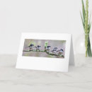 Search for long tailed cards Nature