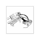 Search for stool Funny