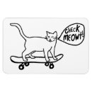Search for kittis magnets Kitten
