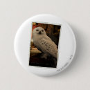 Search for hedwig badges Deathly hallows