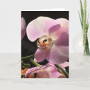 Search for blank inside vertical cards Botanical