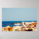Search for seagulls art Coast