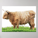 Search for highland cow art Nature