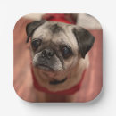 Search for pug plates Dog