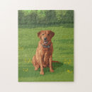 Search for labrador puzzles Dog lover