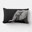 Search for african animal cushions Elephant