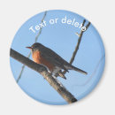 Search for wildlife magnets Bird
