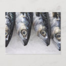 Search for cold drinks postcards Freshness
