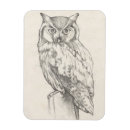 Search for sketched magnets Portrait