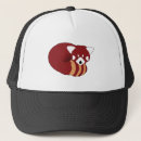 Search for panda hats Illustration