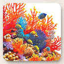Search for tropical reef coasters Aquatic