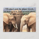 Search for elephant postcards Nature