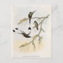Search for hum postcards 19th