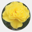 Search for rosa stickers Rose