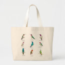 Search for broad accessories Animal