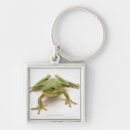Search for green frog key rings Cute