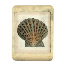 Search for creatures magnets Seashell