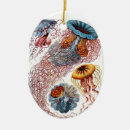Search for illustrating christmas tree decorations Vintage