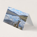 Search for water hole cards Nature
