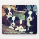 Search for shepherds mousepads Puppies