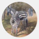 Search for paint stripes stickers Black and white