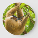 Search for cute sloth clocks Animals