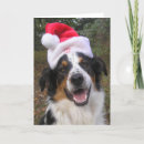 Search for border collie christmas cards Funny dogs