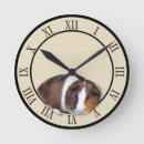 Search for guinea pig clocks Cavy