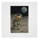 Search for space walk posters Dog