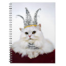 Search for avanti notebooks Cat