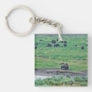Search for a bison key rings Wildlife