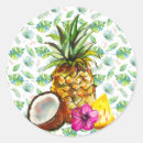 Search for coconuts stickers Pineapple