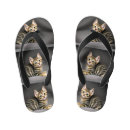 Search for cat shoes Pet