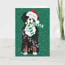 Search for bernese mountain dog christmas cards Berner