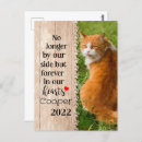 Search for christmas kitten postcards Cat lovers
