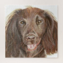 Search for cocker spaniel puzzles Canine